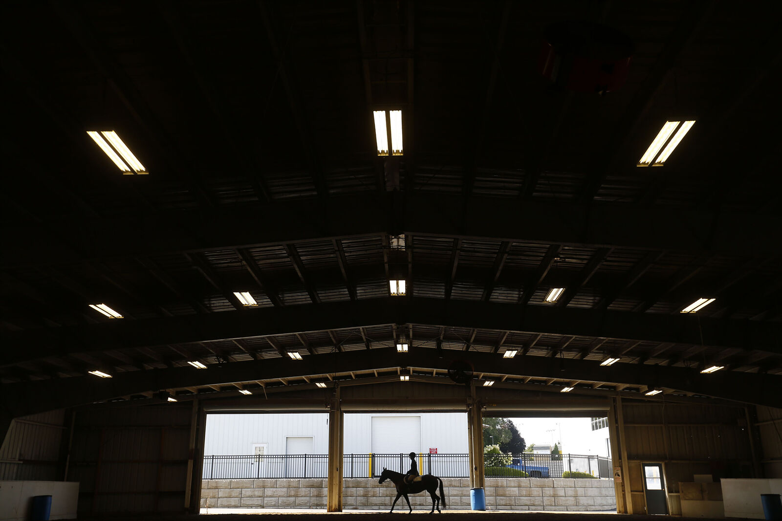 English Horse Show